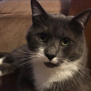 Meet your Posher, Jen